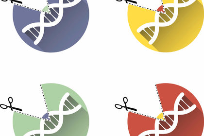 Crispr/Cas, l’ultima frontiera dell’ingegneria genetica